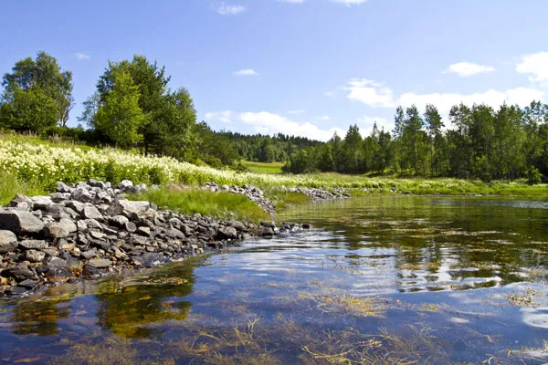 Norwegia | Okolice Vågland
