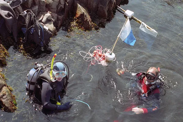 Chorwacja | Maksymalna dozwolona głębokość nurkowania z butlą to 40 m Chorwacja | Maksymalna dozwolona głębokość nurkowania z butlą to 40 m