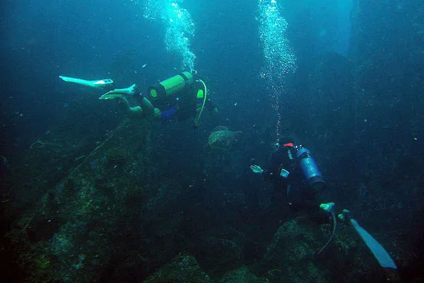 Seszele | Nurkowanie to z największych atrakcji wysp Seszele | Nurkowanie to z największych atrakcji wysp