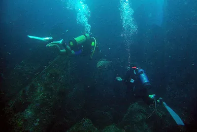 Nurkowanie na Seszelach