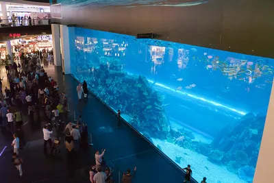 Akwaria i delfinaria