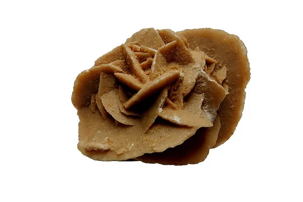 Tunezja | Róża pustyni Tunezja | Róża pustyni