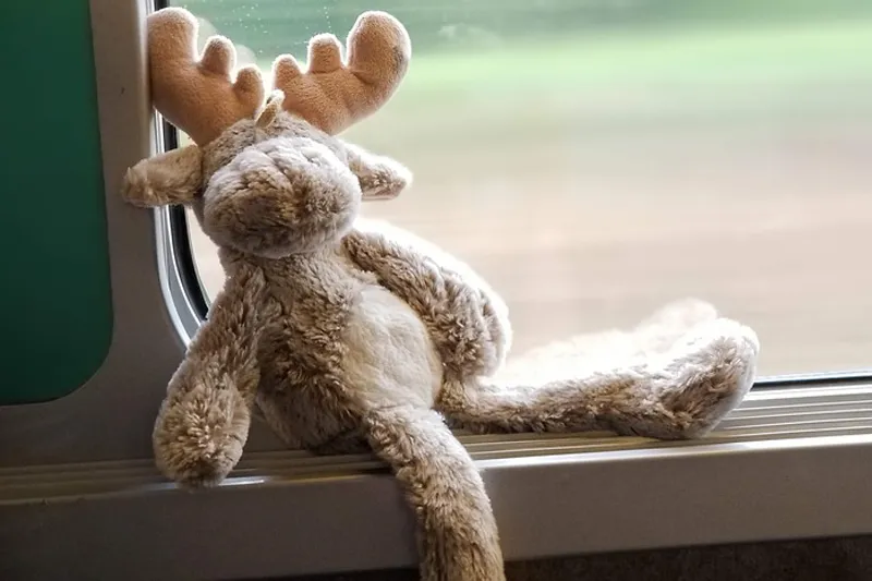 Norwegia | W Norwegii na każdym kroku spotkamy… łosie!