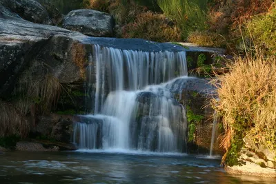 Płatne parki krajobrazowe