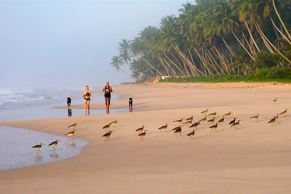 Sri Lanka | Poranny jogging na plaży Koggala Sri Lanka | Poranny jogging na plaży Koggala
