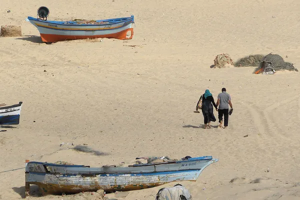 Tunezja | Na uczelniach wyższych aż 59,5% studentów stanowią kobiety Tunezja | Na uczelniach wyższych aż 59,5% studentów stanowią kobiety