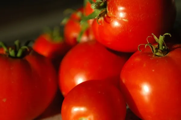 Tunezja | Podstawowym składnikiem szakszuki są pomidory Tunezja | Podstawowym składnikiem szakszuki są pomidory