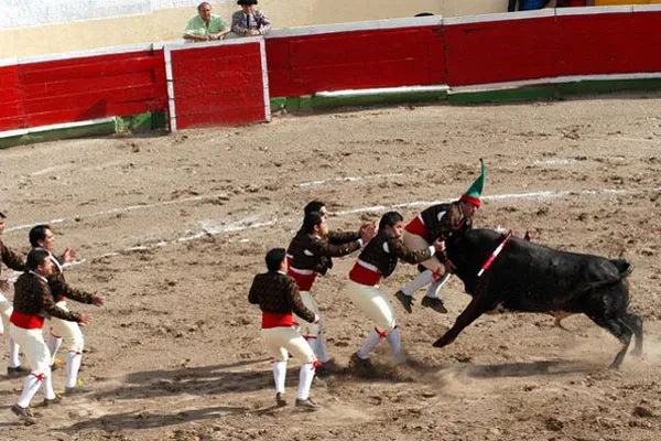 Portugalia | W spektaklu bieże udział zwykle ośmiu forcados Portugalia | W spektaklu bieże udział zwykle ośmiu forcados