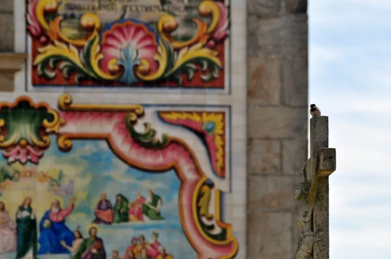 Portugalia | Kościół w Aveiro pięknie zdobiony przy wykorzystaniu azulejo Portugalia | Kościół w Aveiro pięknie zdobiony przy wykorzystaniu azulejo