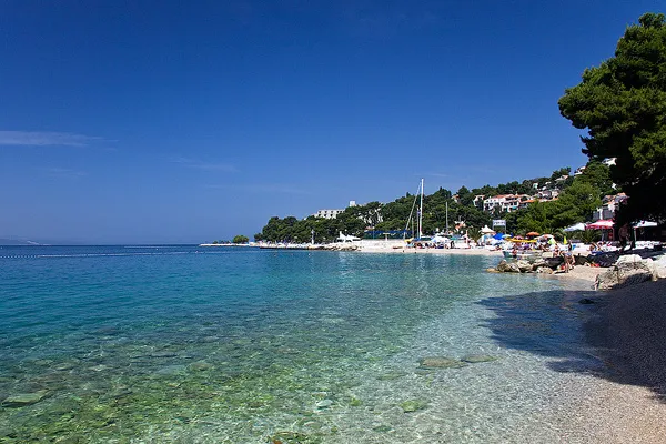 Chorwacja | Punta Rata otoczona jest lasem sosnowym Chorwacja | Punta Rata otoczona jest lasem sosnowym