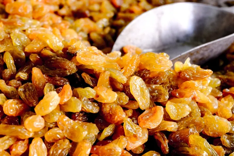 Turcja | Sułtanki to najpopularniejsza odmiana rodzynek