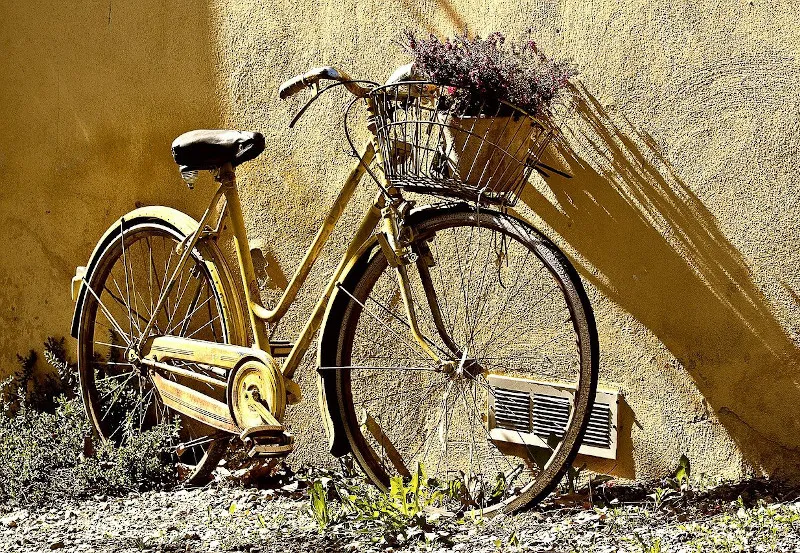 Rower - popularny środek transportu Rower - popularny środek transportu