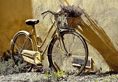 Donieck – transport miejski