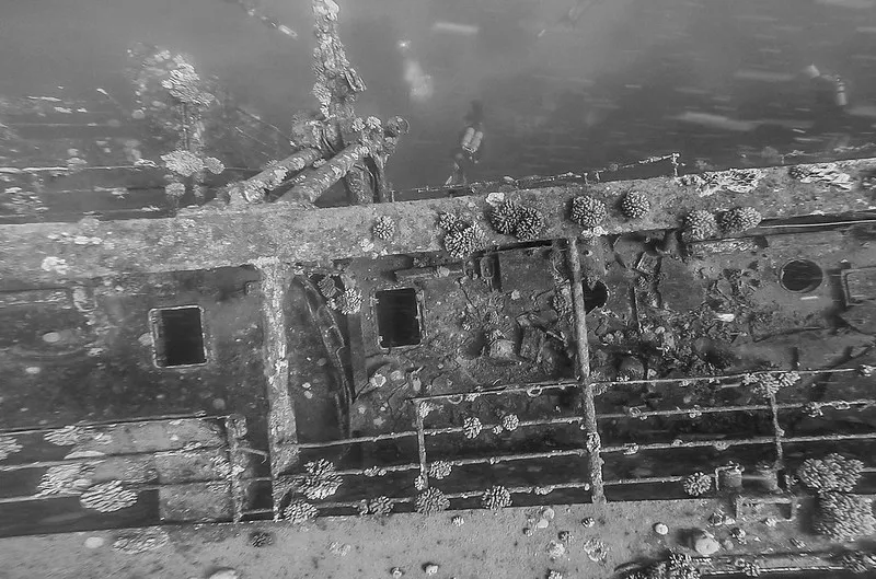 Egipt | Salem Express – nurkowanie wrakowe