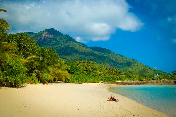 Seszele | Widok na Mont Dauban – najwyższe wzniesienie na wyspie Seszele | Widok na Mont Dauban – najwyższe wzniesienie na wyspie