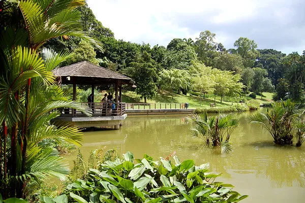 Singapur | Ogród botaniczny, Singapur Singapur | Ogród botaniczny, Singapur