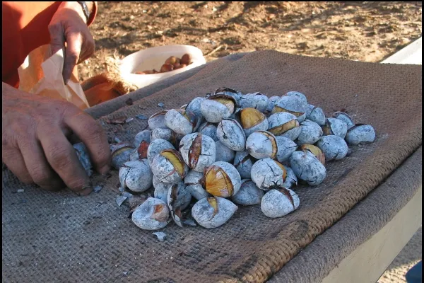Portugalia | Jadalne kasztany najlepiej smakują z pieca! Portugalia | Jadalne kasztany najlepiej smakują z pieca!