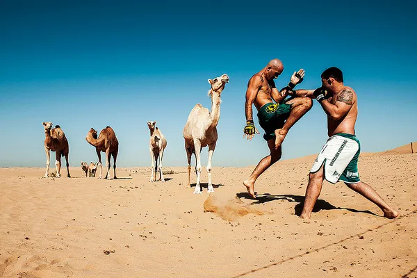 Dubaj | W Dubaju nie brakuje przestrzeni i możliwości do uprawiania wielu rozmaitych dyscyplin sportowych