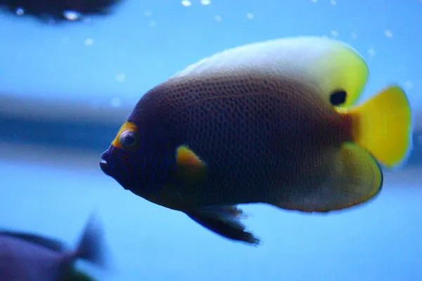 Cypr | Fascynujący podwodny świat Cypru