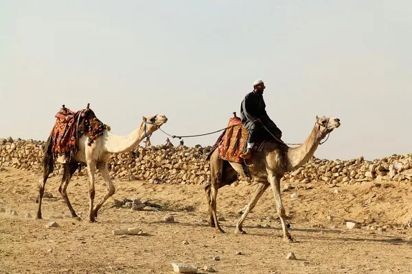 Egipt | Sylwester w Egipcie to szansa na przywitanie Nowego Roku w doborowym towarzystwie