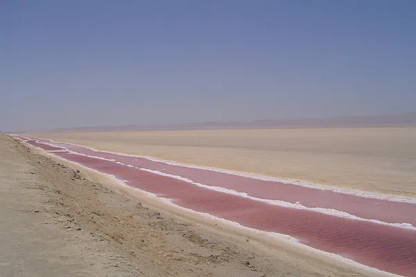 Tunezja | Kryształki soli w jeziorze Wielki Szott przybierają przeróżne kolory Tunezja | Kryształki soli w jeziorze Wielki Szott przybierają przeróżne kolory
