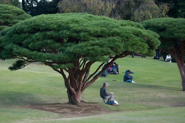 Tokio | Tokio często nazywane jest „Wschodnią Stolicą Tokio | Tokio często nazywane jest „Wschodnią Stolicą
