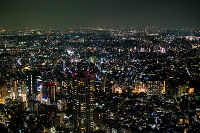 Kiedy jechać do Tokio?