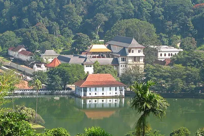 Kiedy jechać na Sri Lankę?