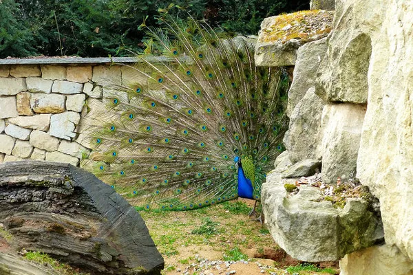 Praga | Mały mieszkaniec Ogrodu Zoologicznego Praga | Mały mieszkaniec Ogrodu Zoologicznego