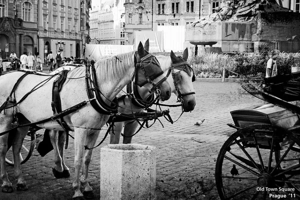 Praga | Rynek Staromiejski Praga | Rynek Staromiejski