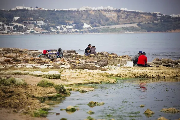 Tunezja | Tunezja liczy 7 portów morskich Tunezja | Tunezja liczy 7 portów morskich