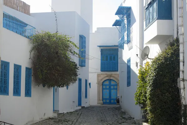 Tunezja | W Sidi Bou Said… Tunezja | W Sidi Bou Said…