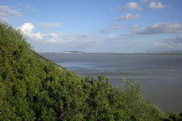 Tunezja | Park Narodowy Ichkeul