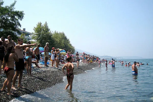 Turcja | Turyści wypatrujący delfinów, które pojawiły się w Çınarcık