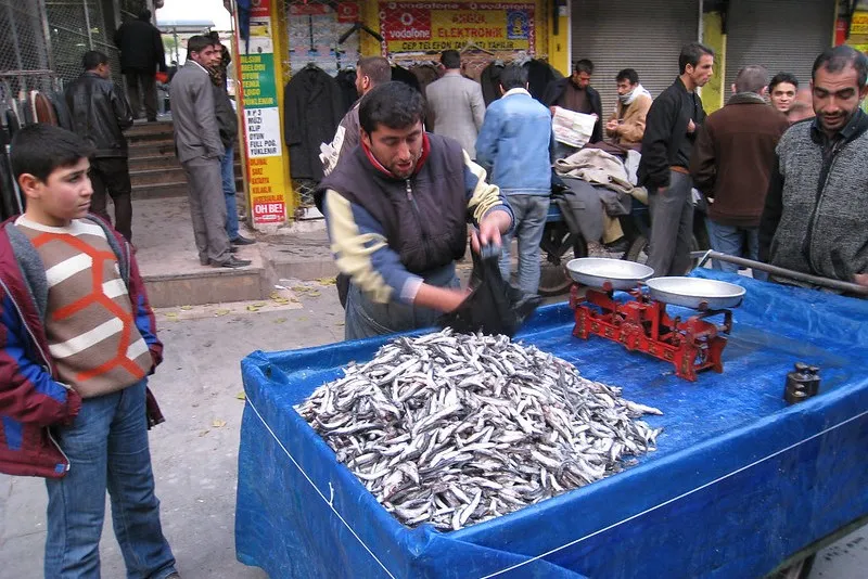Turcja | Hamsi (malutkie rybki) na tureckim targu