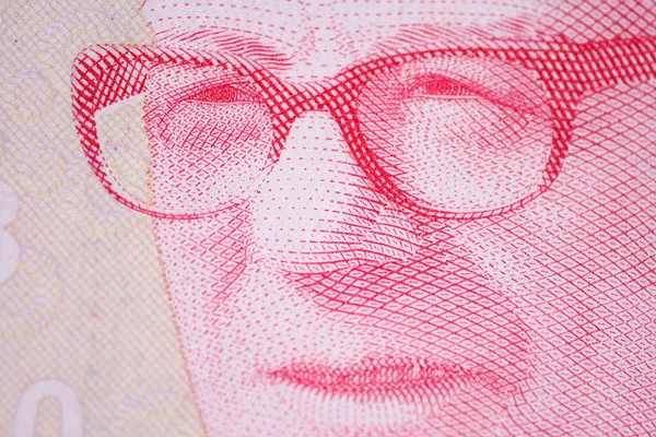 Turcja | Detal banknotu 10-lirowego