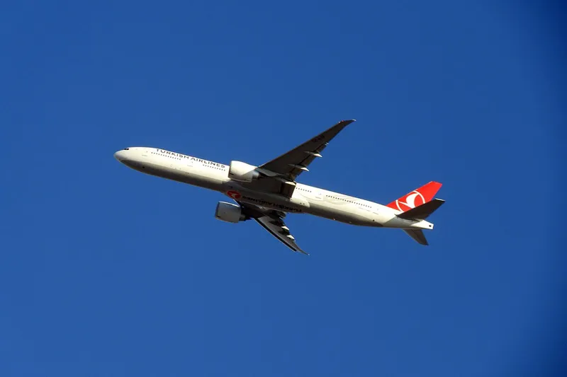 Turcja | Samolot linii lotniczych Turkish Airlines