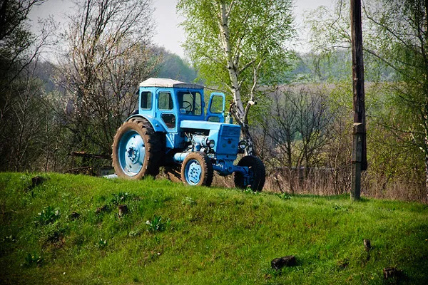 Ukraina | Ponad 30% ludności Ukrainy stanowią mieszkańcy wsi Ukraina | Ponad 30% ludności Ukrainy stanowią mieszkańcy wsi