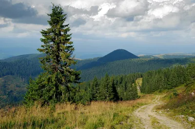 Parki narodowe Ukrainy