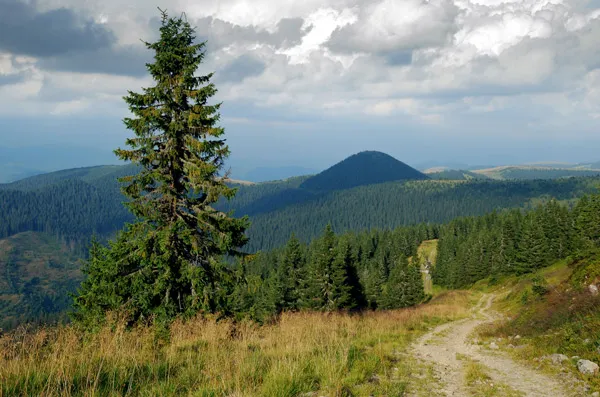 Ukraina | Karpacki Park Narodowy Ukraina | Karpacki Park Narodowy