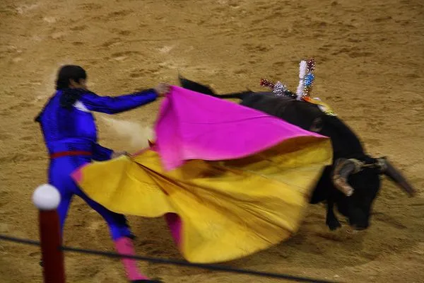 Portugalia | Portugalia |