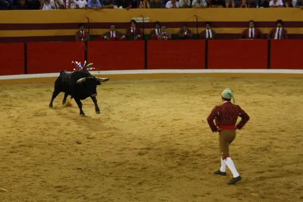 Portugalia | Tourada w miejscowości Pombal Portugalia | Tourada w miejscowości Pombal