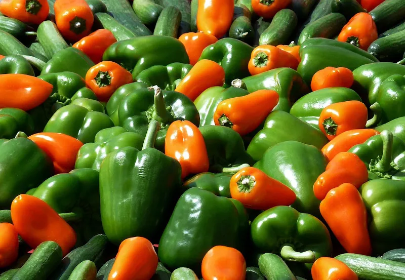 Węgrzy kochają paprykę! Węgrzy kochają paprykę!