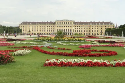 Euro - środek płatniczy w Wiedniu