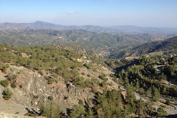 Cypr | Winorośl, z którek produkuje się wino Commandaria, uprawiana jest na wschodnich zboczach Gór Troodos Cypr | Winorośl, z którek produkuje się wino Commandaria, uprawiana jest na wschodnich zboczach Gór Troodos