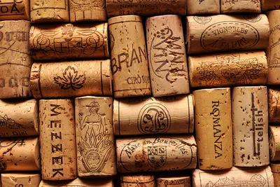 Słoneczny Napój 2012 