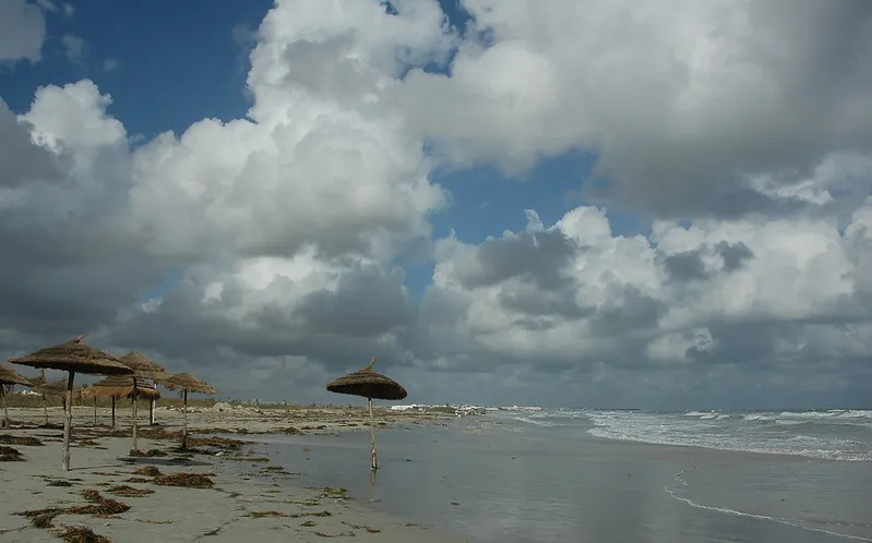Tunezja | Plaza na wyspie Djerba (Dżerba)