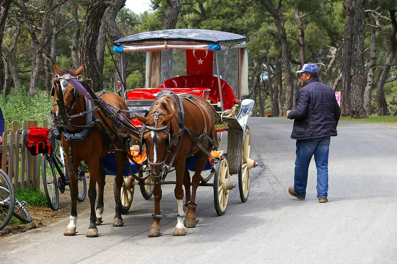 Turcja | Na Wyspach Książęcych obowiązuje zakaz poruszania się samochodami