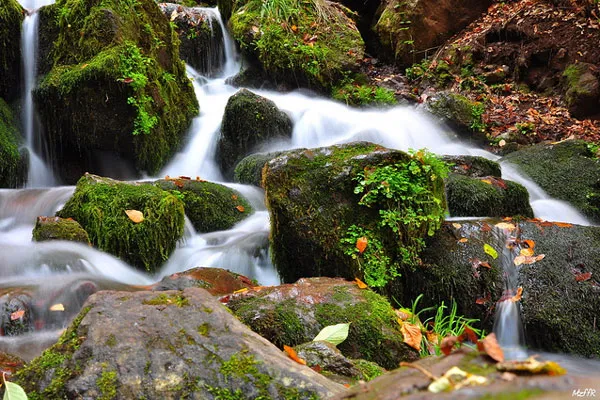Turcja | Park Narodowy Yedigöller