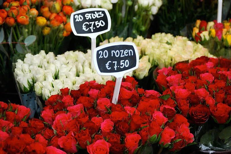 Holandia | Bukiet pachnących kwiatów prosto z Holandii Holandia | Bukiet pachnących kwiatów prosto z Holandii